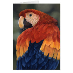 Macaw-kaart