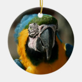 Macaw Keramisch Ornament (Voorkant)