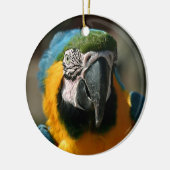 Macaw Keramisch Ornament (Links)
