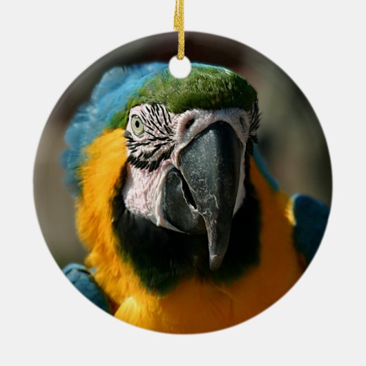 Macaw Keramisch Ornament (Achterkant)
