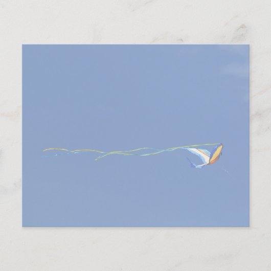 Macaw Kite (Voorkant)