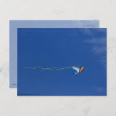 Macaw Kite Briefkaart (Voorkant / Achterkant)