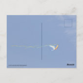 Macaw Kite Briefkaart (Achterkant)