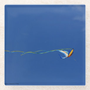 Macaw Kite Glazen Onderzetter