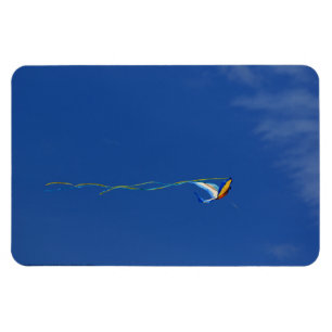 Macaw Kite Magneet