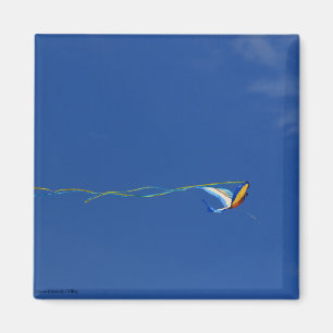 Macaw Kite Magneet