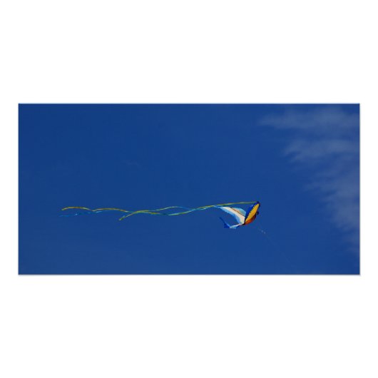 Macaw Kite Perfect Poster (Voorkant)