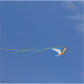Macaw Kite Sticker (Voorkant)