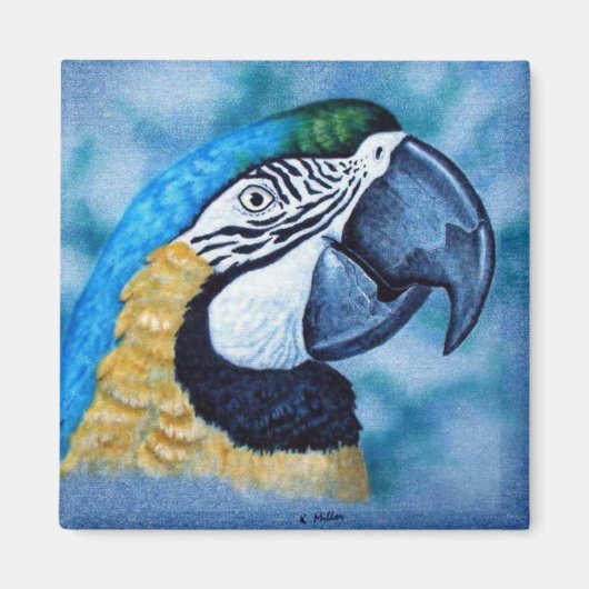 Macaw Magneet (Voorkant)