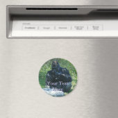 Macaw Magnet Magneet (Insitu (Vaatwasser))