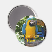 Macaw Magnet Magneet (Voorkant / Achterkant)
