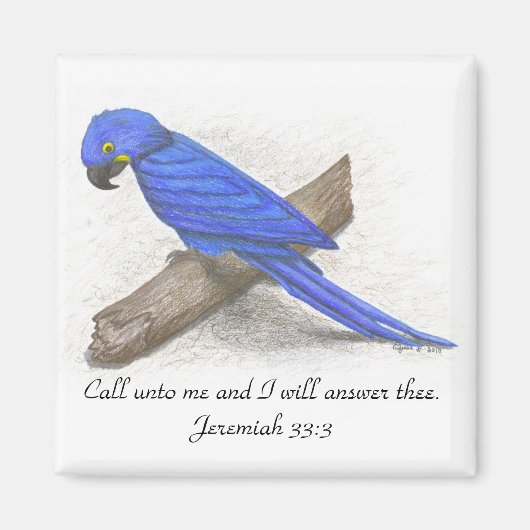 Macaw Magnet Magneet (Voorkant)