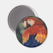 Macaw Magnet Magneet (Voorkant / Achterkant)
