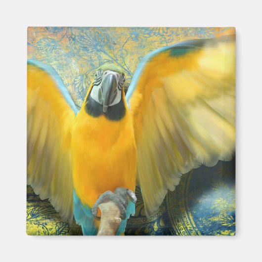 Macaw Magnet Magneet (Voorkant)