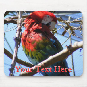 Macaw Mousepad Muismat