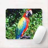 Macaw Mousepad Muismat (Met muis)