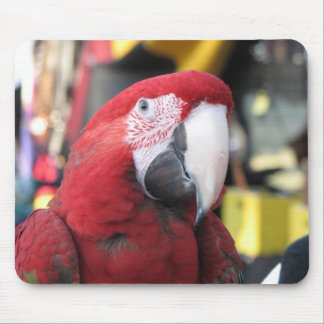 Macaw mousepad muismat