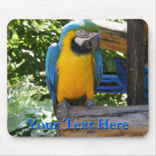 Macaw Mousepad Muismat
