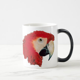 Macaw Parrot Bird Morphing Mok