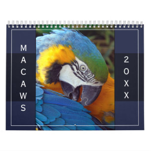 Macaw Parrot Blue Gold Scarlet Hyacinth 2025 Bird Kalender