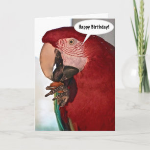 Macaw Parrot Bonne Carte d'Anniversaire