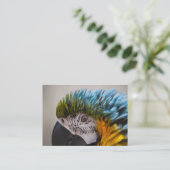 Macaw Parrot - Carte de visite (Debout devant)
