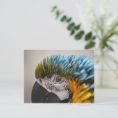 Macaw Parrot - Carte postale (Debout devant)