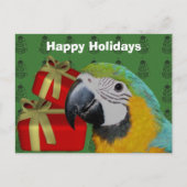 Macaw Parrot - Carte postale de Noël (Devant)