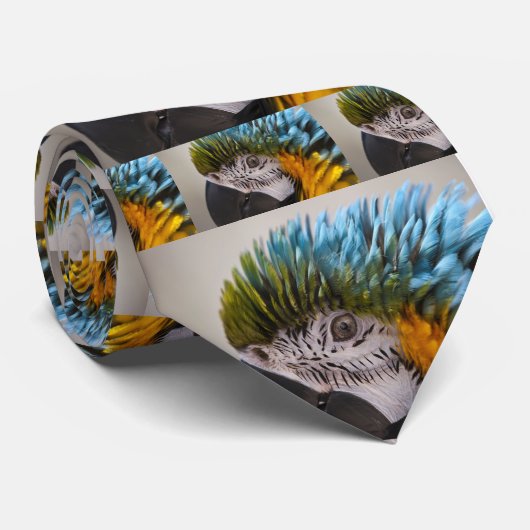 Macaw Parrot - Cravate (Roulé)