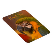 Macaw Parrot Dank u Magneet (Rechterzijde)
