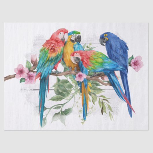 Macaw Parrot Eucalyptus Waterverf tissue paper Tissuepapier (Voorkant)