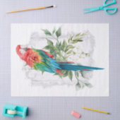 Macaw Parrot Eucalyptus Waterverf Tissuepapier (Craft)