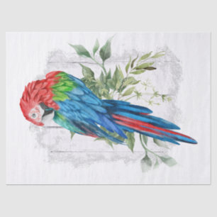Macaw Parrot Eucalyptus Waterverf Tissuepapier