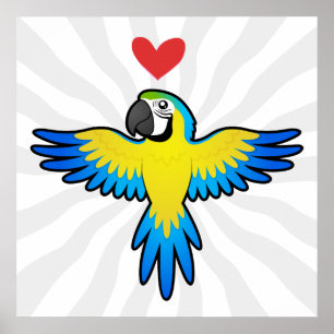 Macaw / Parrot Love Poster