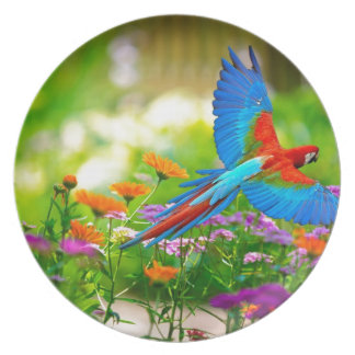 Macaw Parrot Melamine Bord