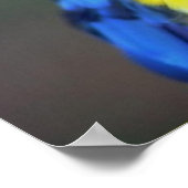 Macaw Parrot Oiseau Mur Poster Mural (Coin)