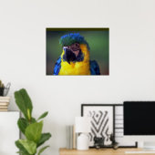 Macaw Parrot Oiseau Mur Poster Mural (Bureau à domicile)