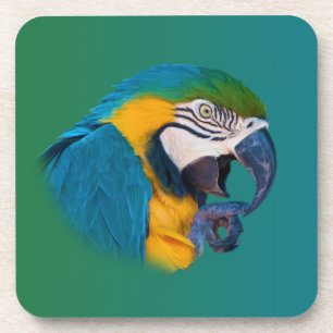 Macaw Parrot, Onderzetter van kurk