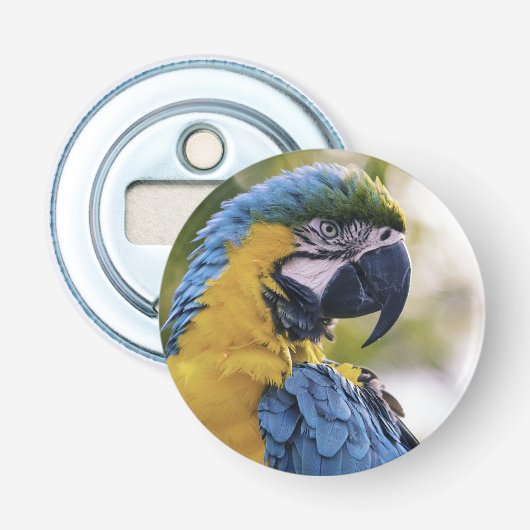 Macaw Parrot Profiel Portret Foto Button Flesopener (Voorkant)