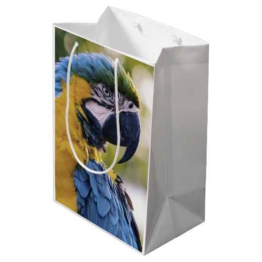 Macaw Parrot Profiel Portret Foto Medium Cadeauzakje (Achterkant Gekanteld)