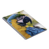 Macaw Parrot Profiel Portret Foto Notitieboek (Rechterzijde)