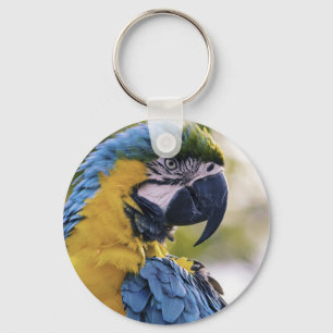 Macaw Parrot Profiel Portret Foto Sleutelhanger