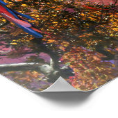 MACAW PARROT RAIN FOREST OUTPOST POSTER (Hoek)