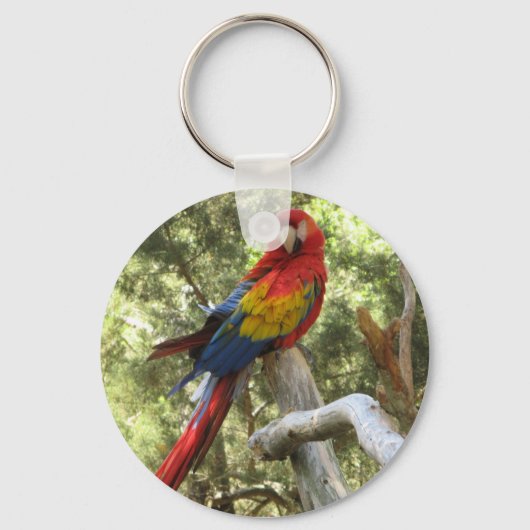 Macaw Parrot Sleutelhanger (Voorkant)