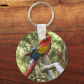 Macaw Parrot Sleutelhanger (Voorkant)