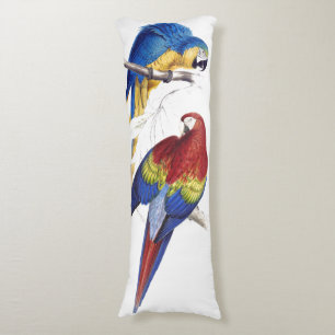 Macaw Parrot Vogels Wilde dieren Lichaamskussen