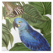 Macaw Parrot Wilde dieren Tegeltje (Voorkant)
