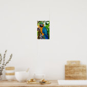 Macaw Parrot Yellow and Blue Bird Poster (Keuken)