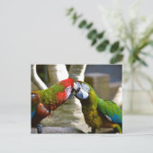 Macaw Parrots 2013 Calendar Briefkaart (Staand voorkant)