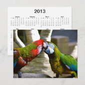 Macaw Parrots 2013 Calendar Briefkaart (Voorkant / Achterkant)